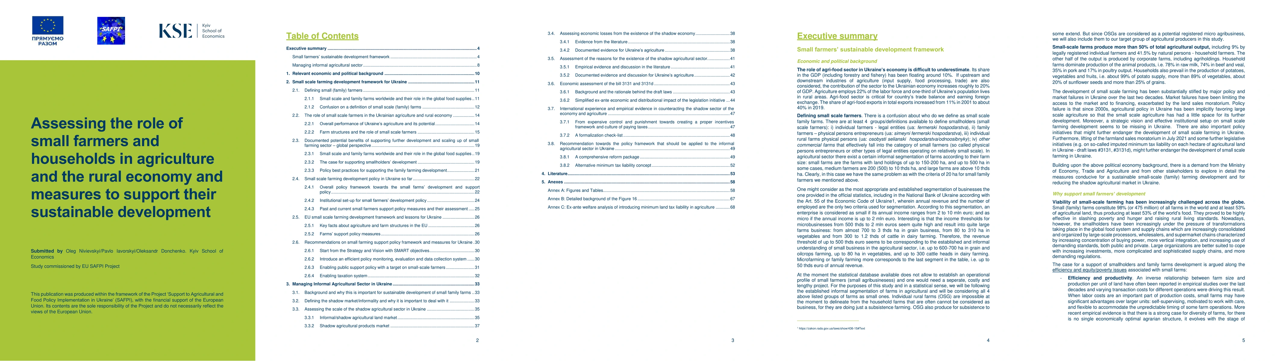 Thumbnail for Assessing the role of small farmers and households in agriculture and
  the rural economy and measures to support their sustainable development