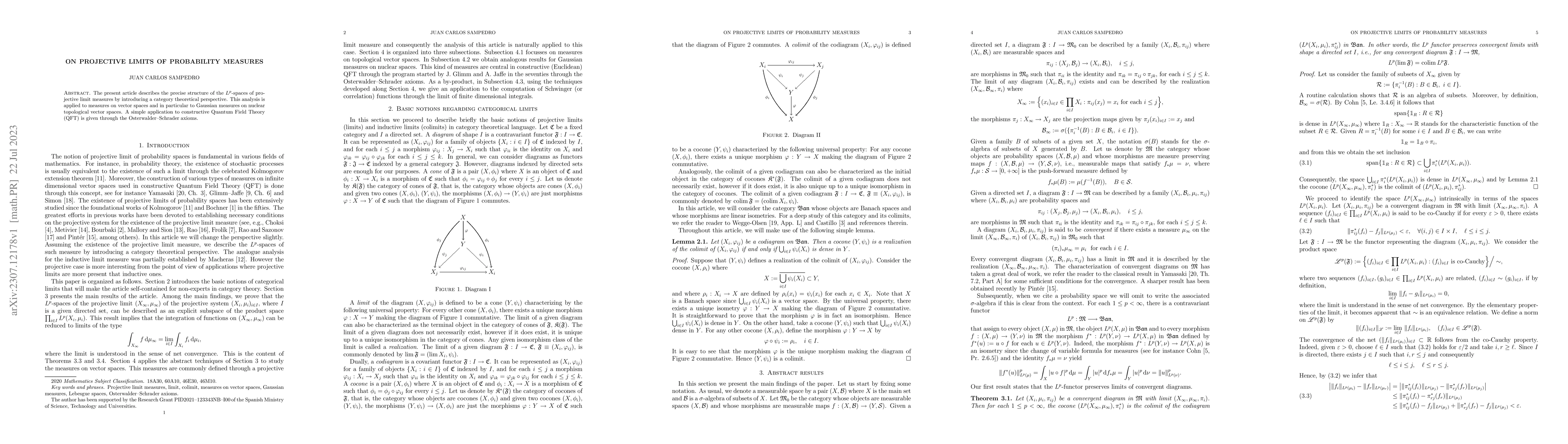 Thumbnail for On projective limits of probability measures