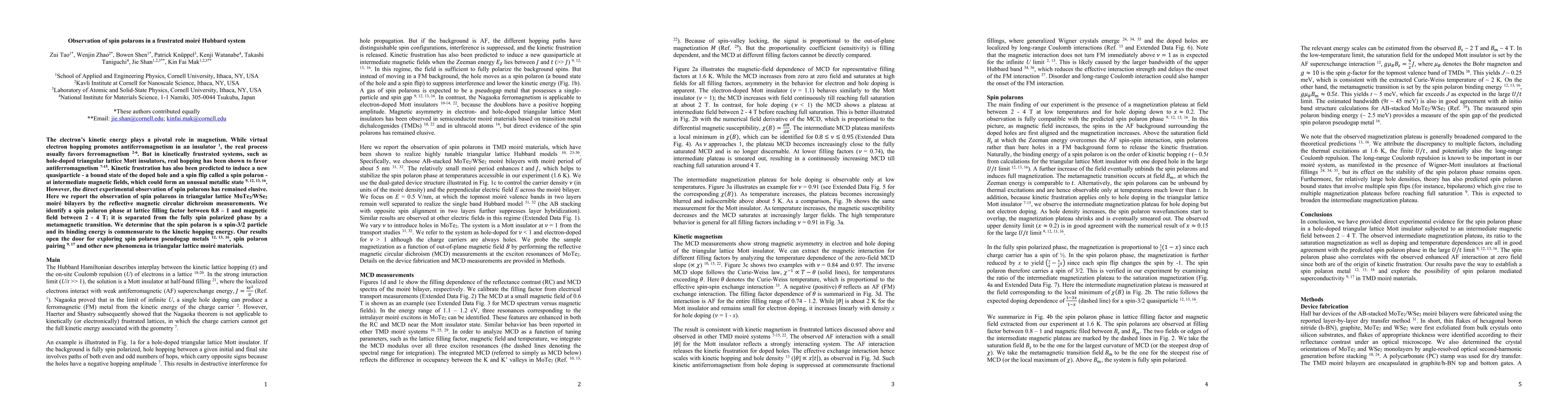 Thumbnail for Observation of spin polarons in a frustrated moir\'e Hubbard system