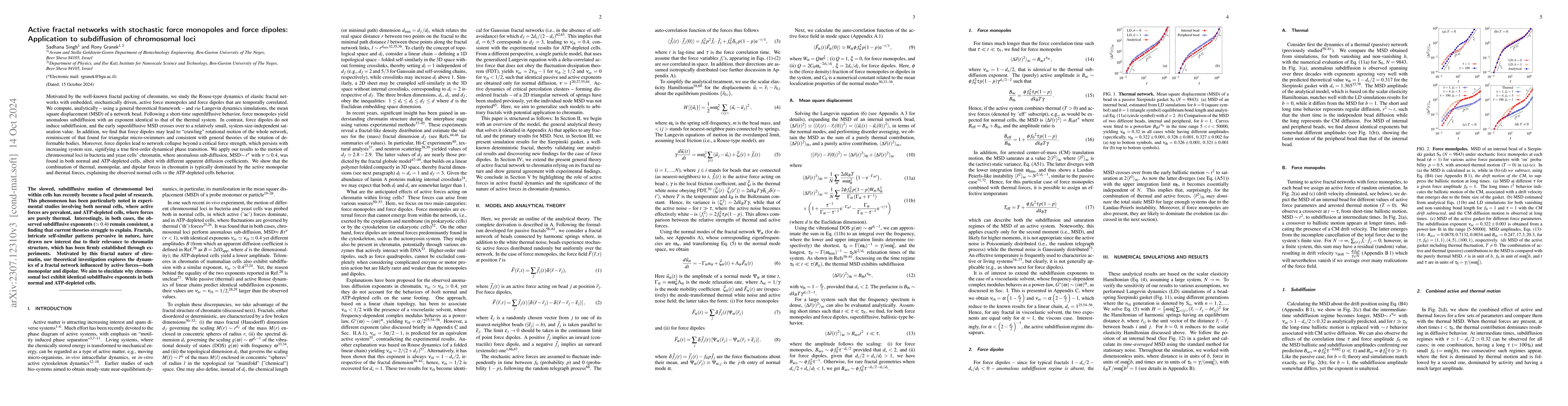 Thumbnail for Active fractal networks with stochastic force monopoles and force
  dipoles unravel subdiffusion of chromosomal loci