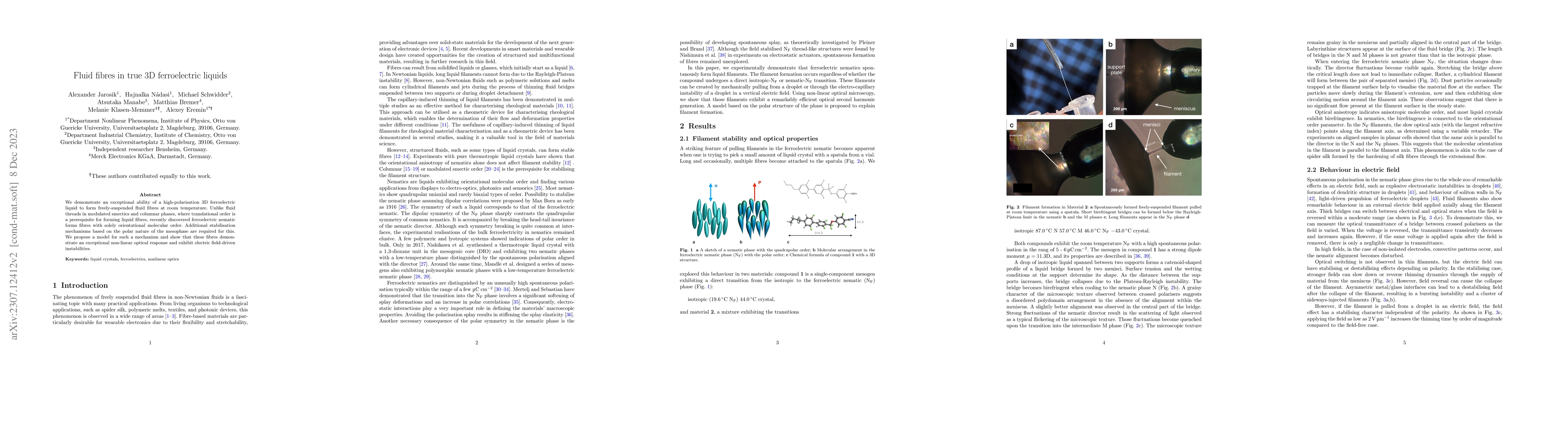 Thumbnail for Fluid fibres in true 3D ferroelectric liquids