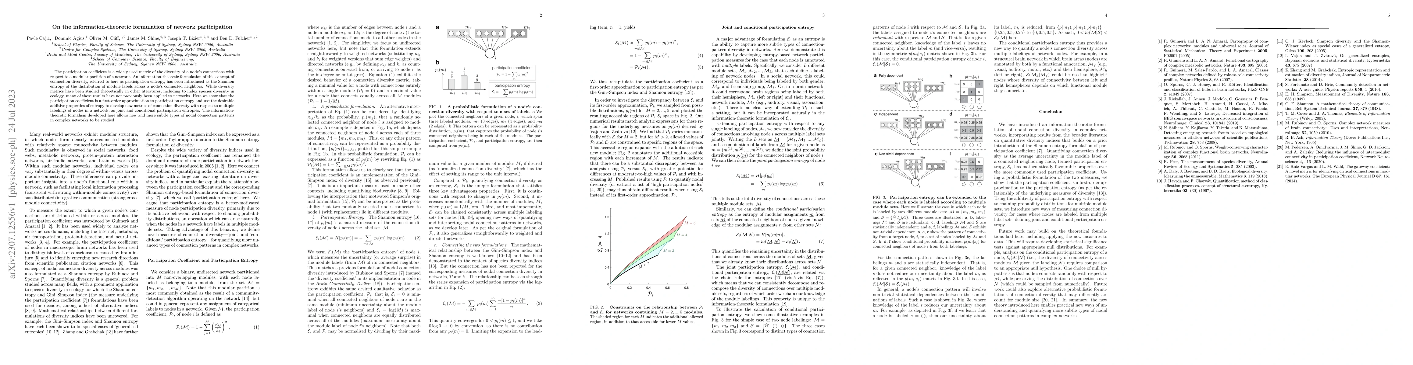 Thumbnail for On the information-theoretic formulation of network participation