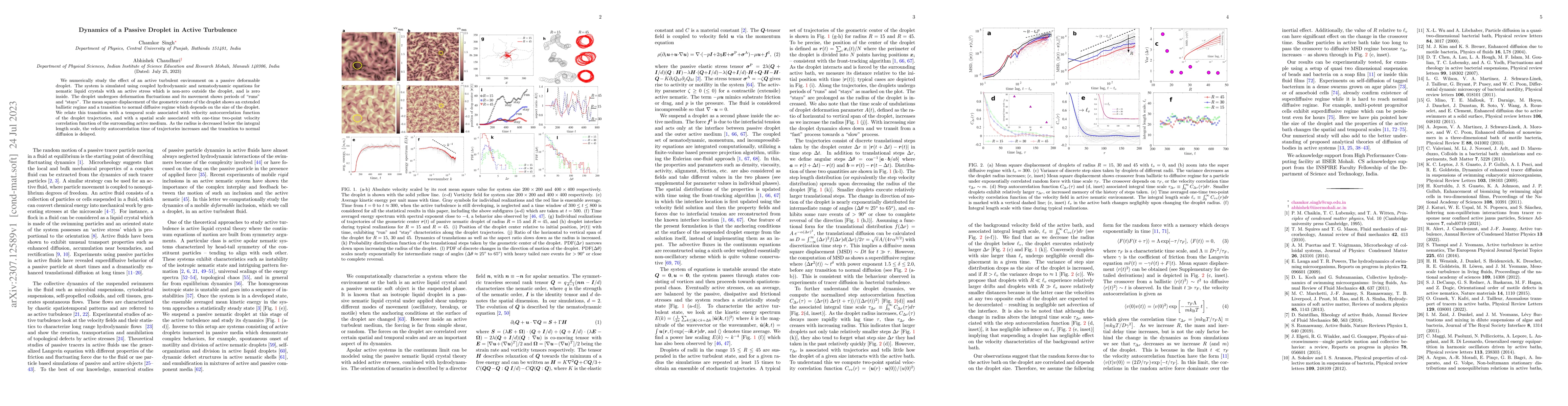 Thumbnail for Dynamics of a Passive Droplet in Active Turbulence