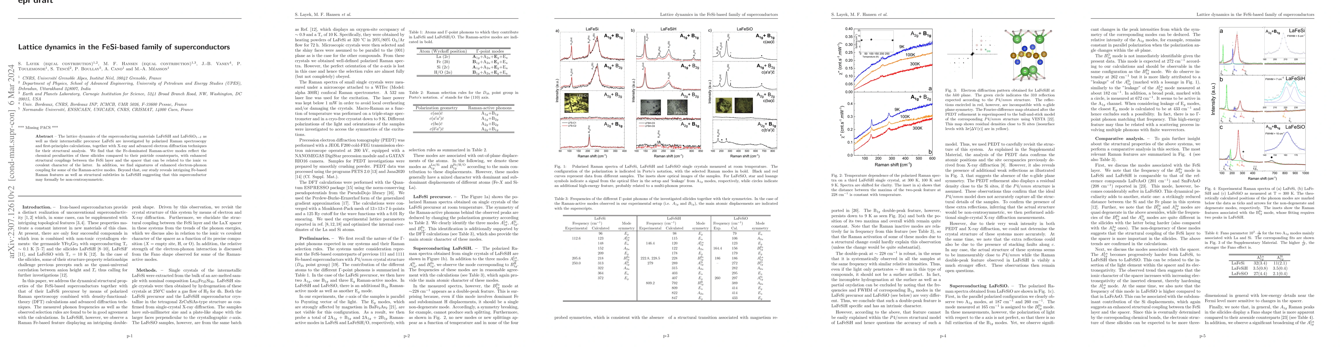 Thumbnail for Lattice dynamics in the FeSi-based family of superconductors