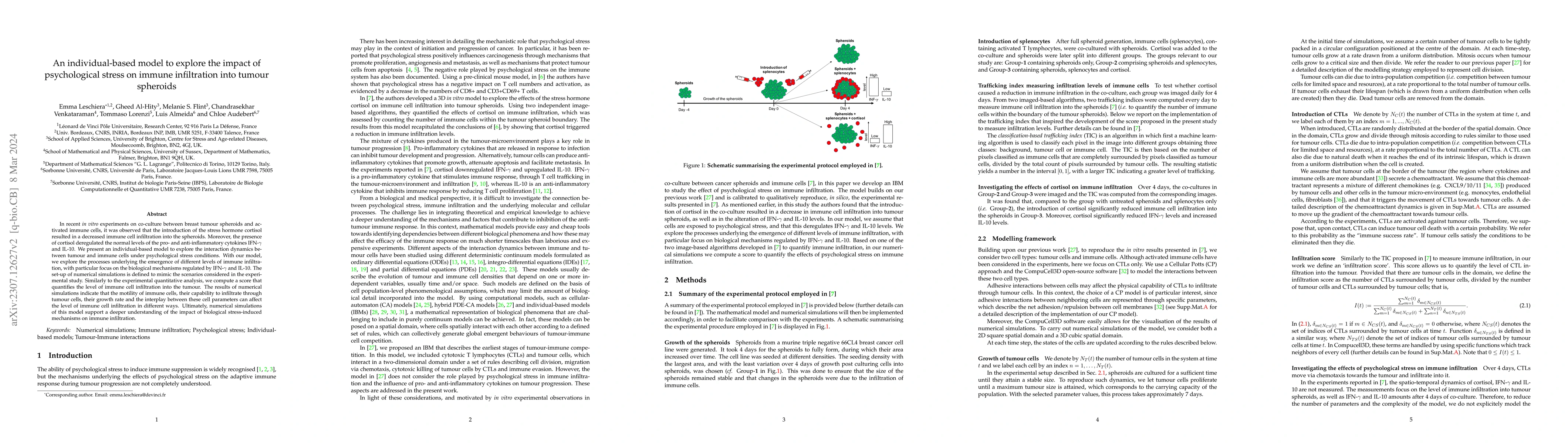 Thumbnail for An individual-based model to explore the impact of psychological stress
  on immune infiltration into tumour spheroids