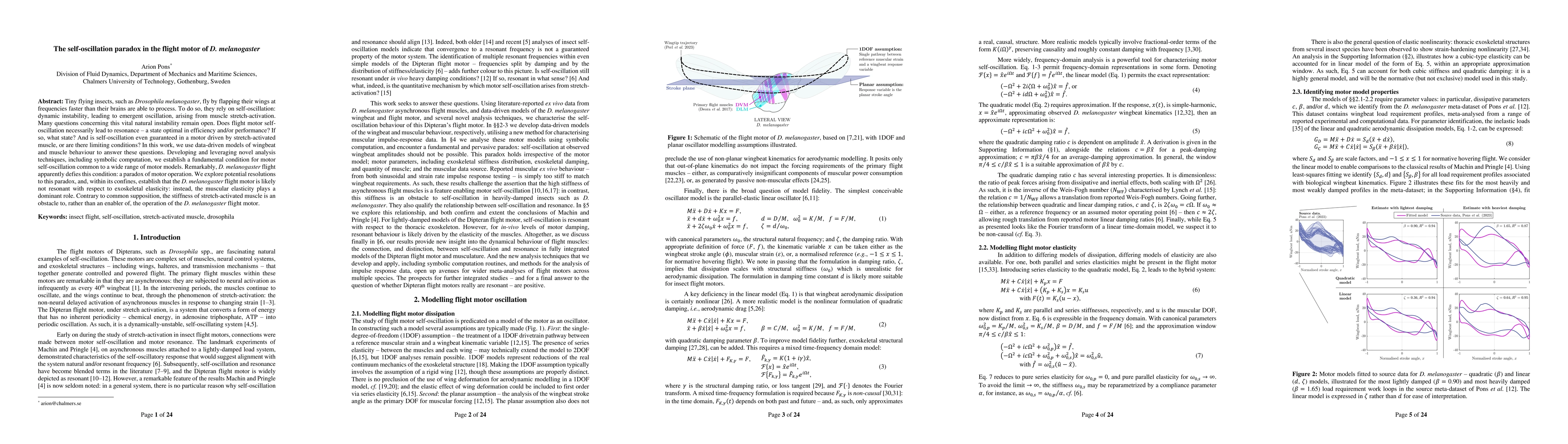 Thumbnail for The self-oscillation paradox in the flight motor of D. melanogaster