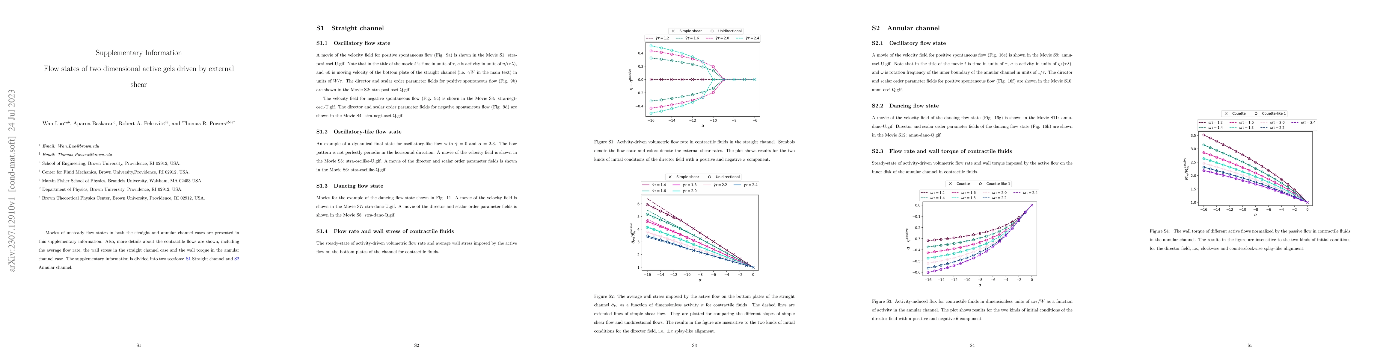 Thumbnail for Flow states of two dimensional active gels driven by external shear