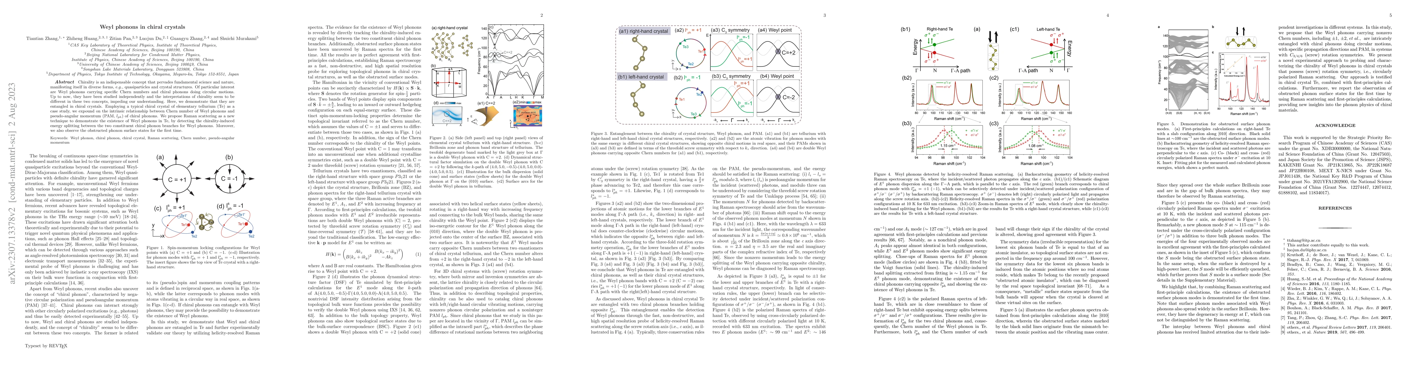 Thumbnail for Weyl phonons in chiral crystals