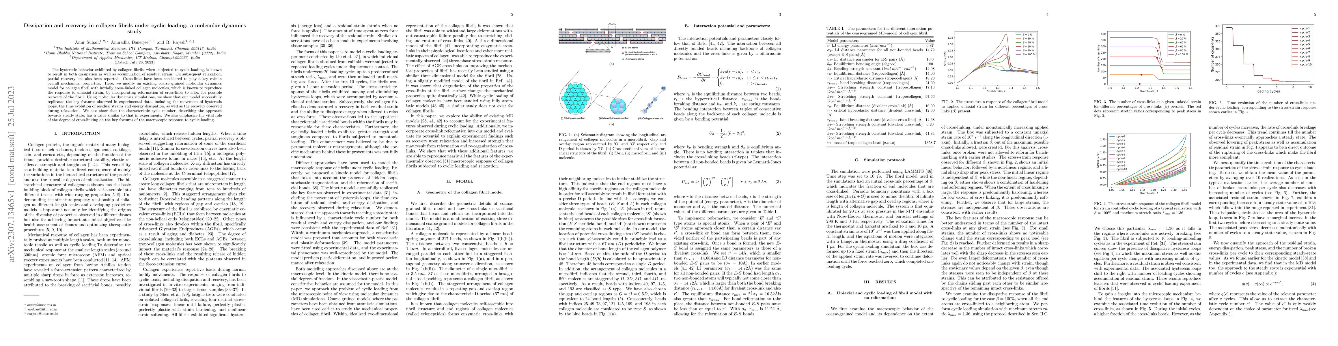 Thumbnail for Dissipation and recovery in collagen fibrils under cyclic loading: a
  molecular dynamics study