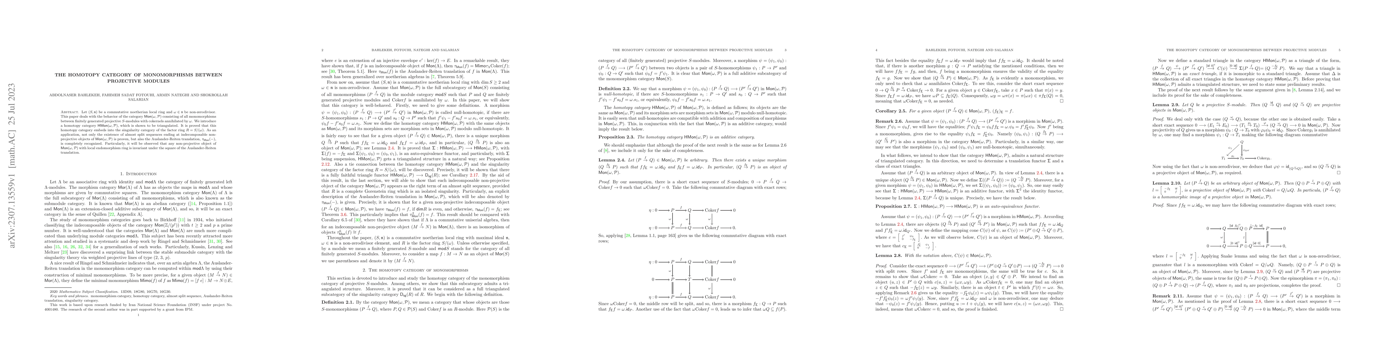 Thumbnail for The homotopy category of monomorphisms between projective modules