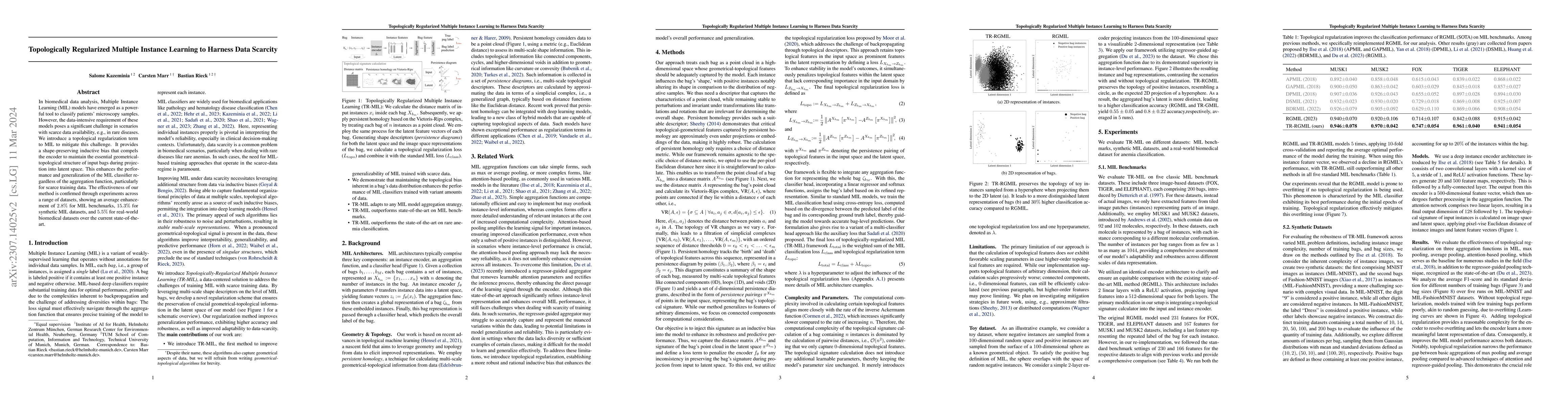 Thumbnail for Topologically Regularized Multiple Instance Learning to Harness Data
  Scarcity