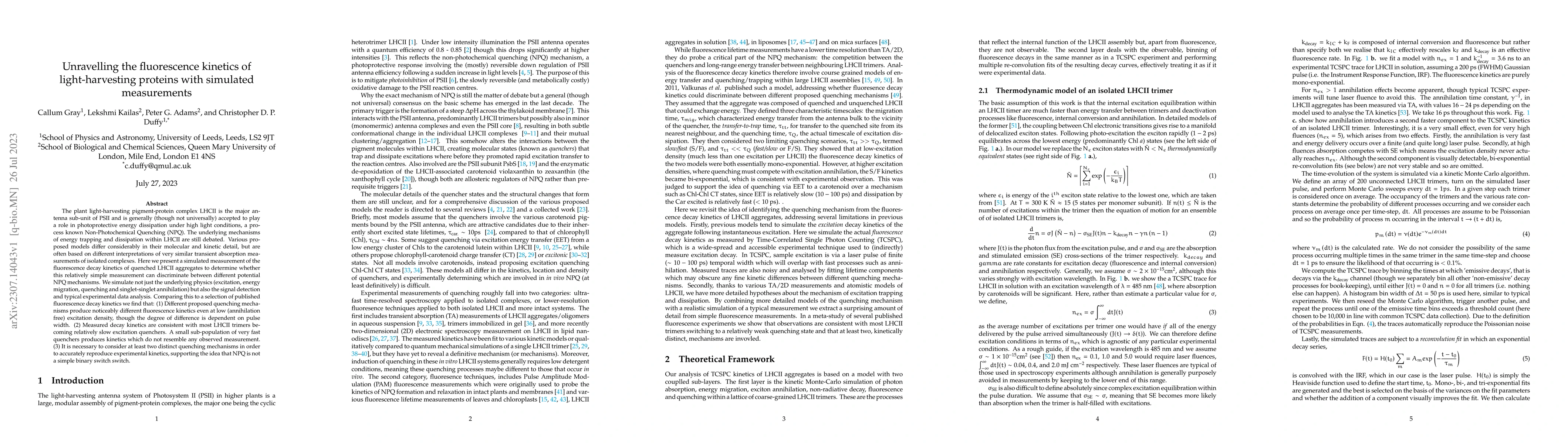 Thumbnail for Unravelling the fluorescence kinetics of light-harvesting proteins with
  simulated measurements