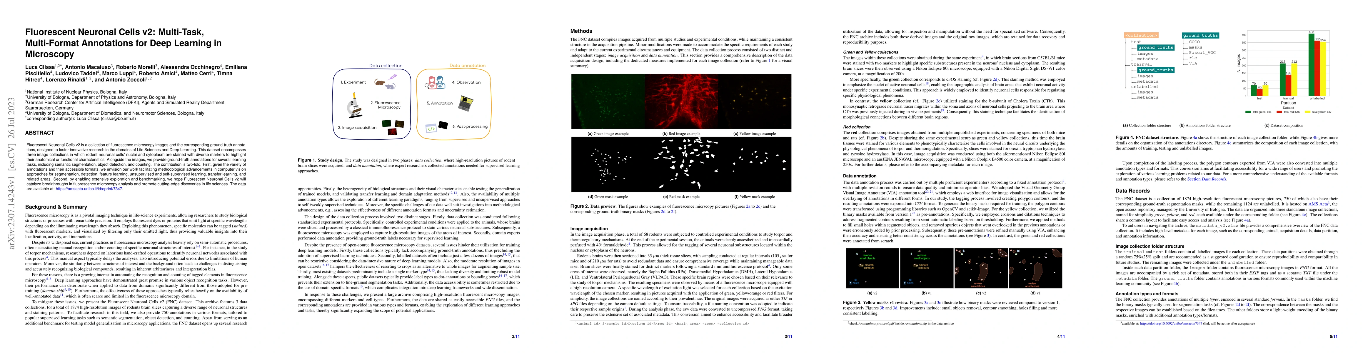 Thumbnail for Fluorescent Neuronal Cells v2: Multi-Task, Multi-Format Annotations for
  Deep Learning in Microscopy