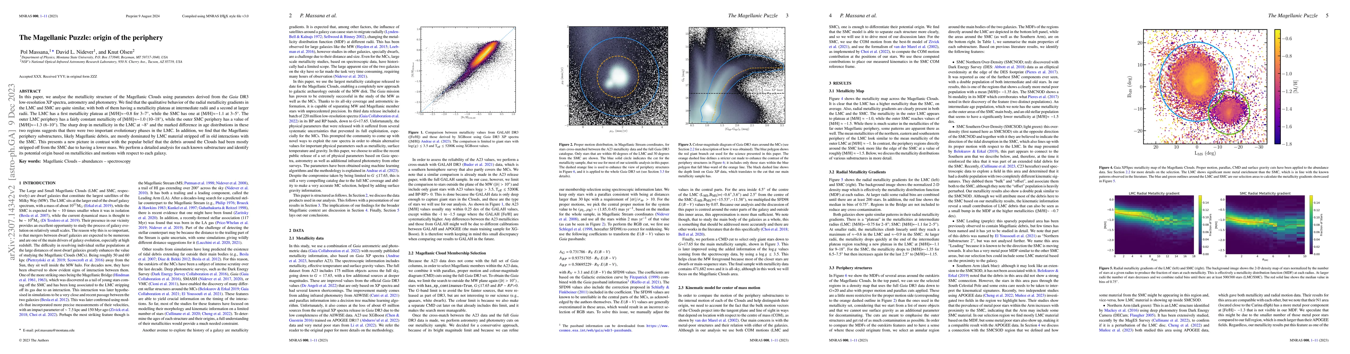 Thumbnail for The Magellanic Puzzle: origin of the periphery
