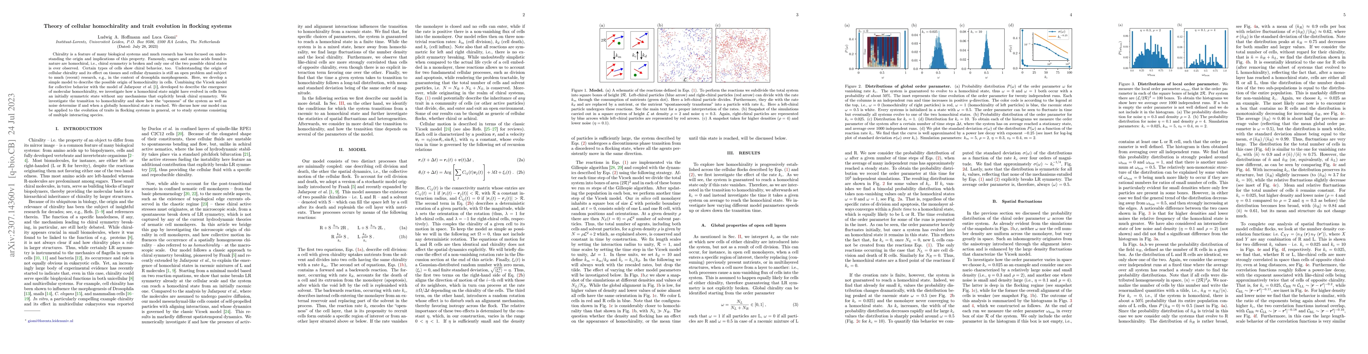 Thumbnail for Theory of cellular homochirality and trait evolution in flocking systems
