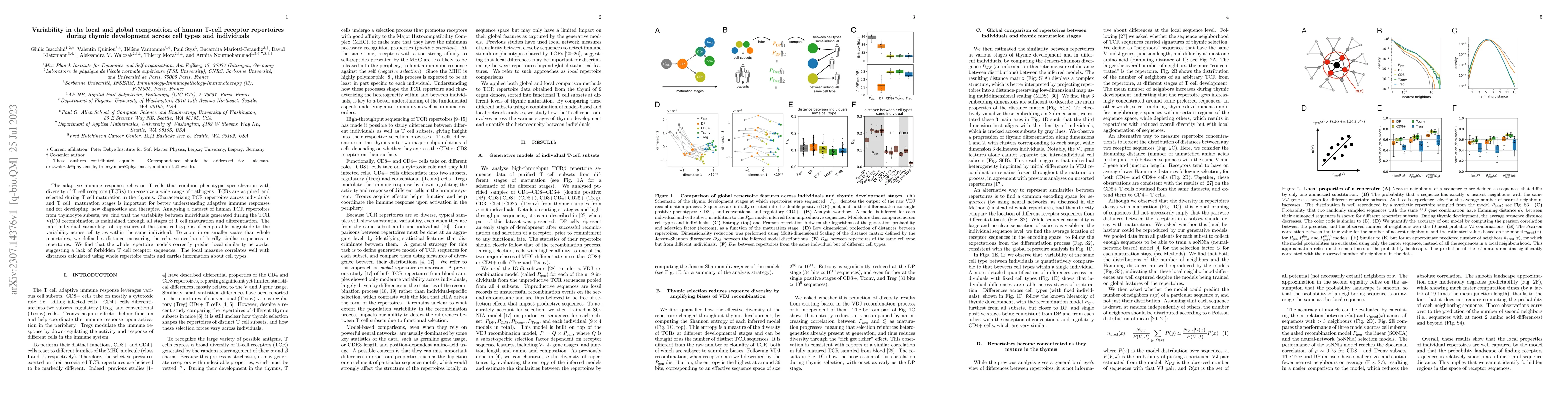 Thumbnail for Variability in the local and global composition of human T-cell receptor
  repertoires during thymic development across cell types and individuals