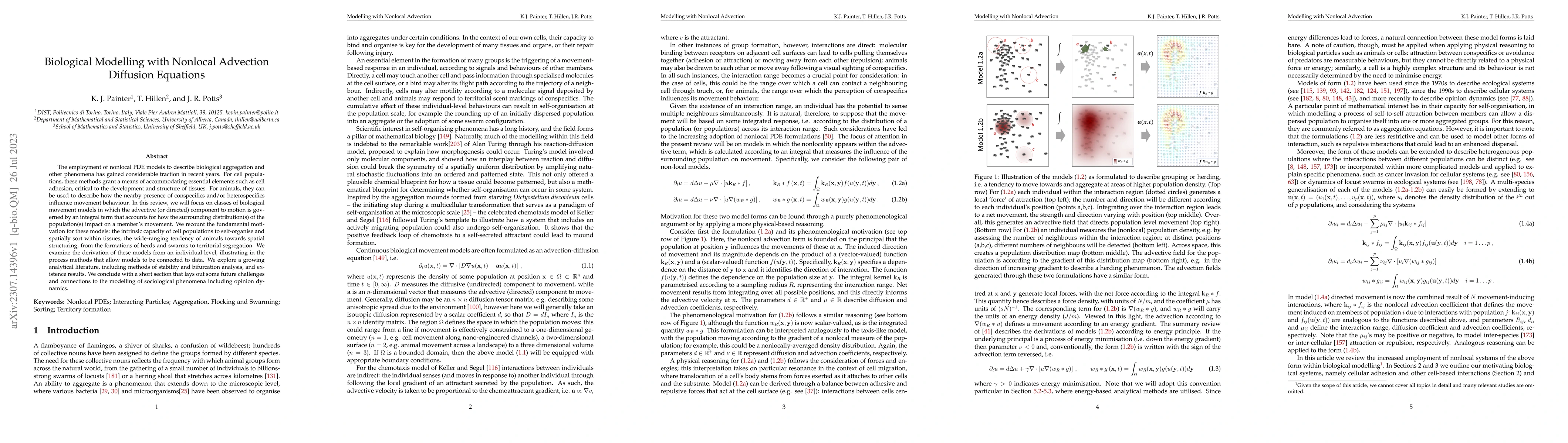 Thumbnail for Biological Modelling with Nonlocal Advection Diffusion Equations