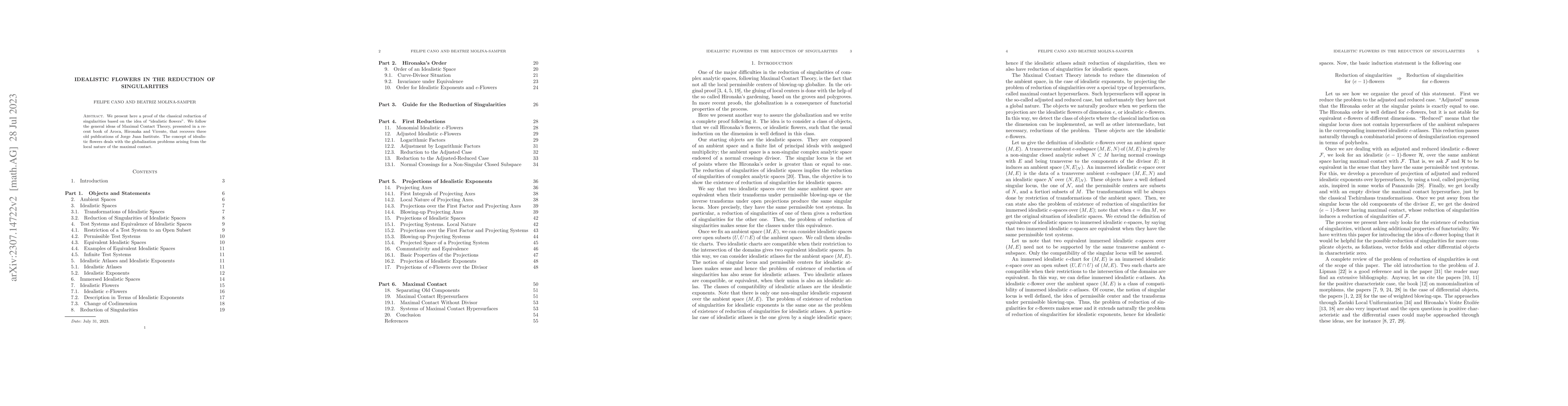 Thumbnail for Idealistic Flowers in the Reduction of Singularities