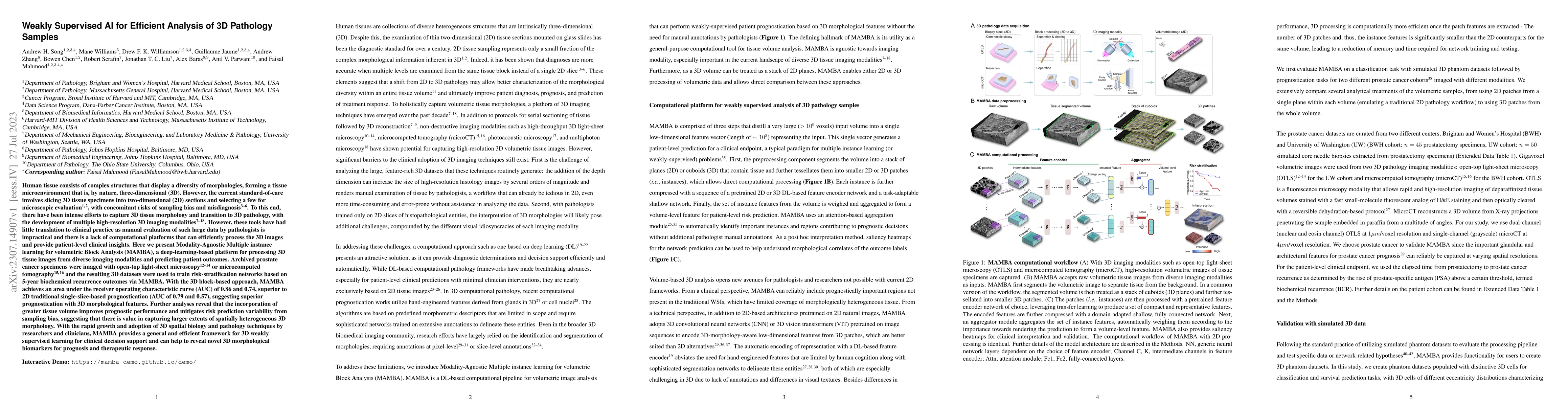 Thumbnail for Weakly Supervised AI for Efficient Analysis of 3D Pathology Samples