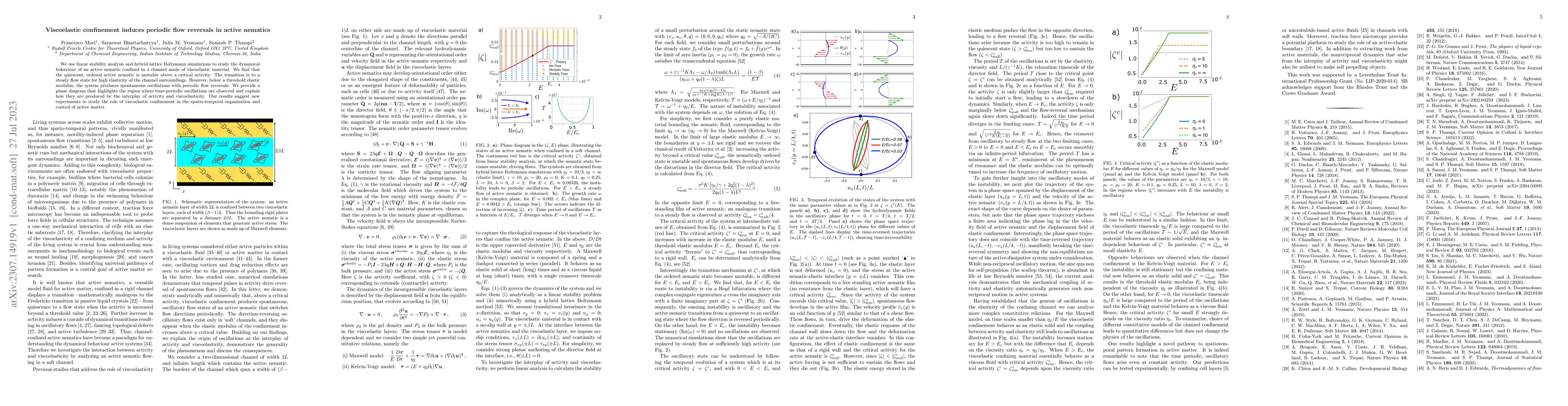 Thumbnail for Viscoelastic confinement induces periodic flow reversals in active
  nematics