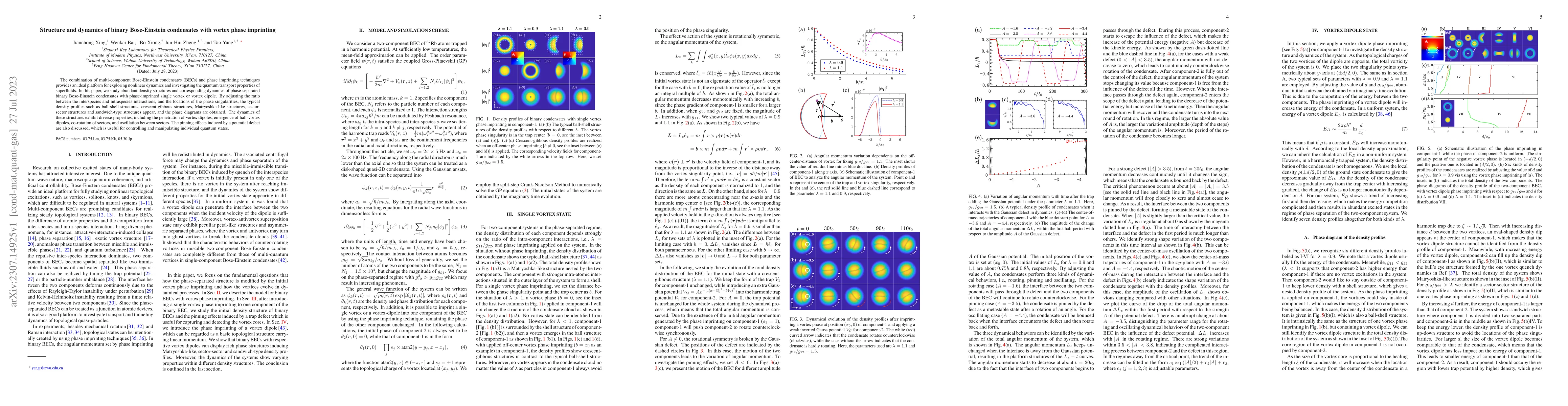Thumbnail for Structure and dynamics of binary Bose-Einstein condensates with vortex
  phase imprinting