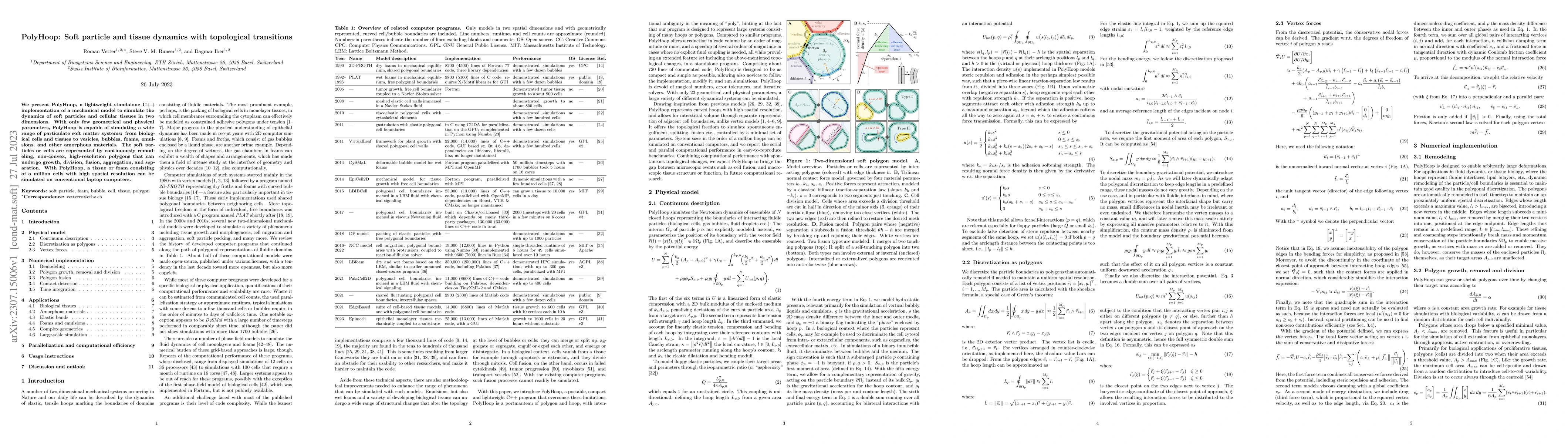 Thumbnail for PolyHoop: Soft particle and tissue dynamics with topological transitions
