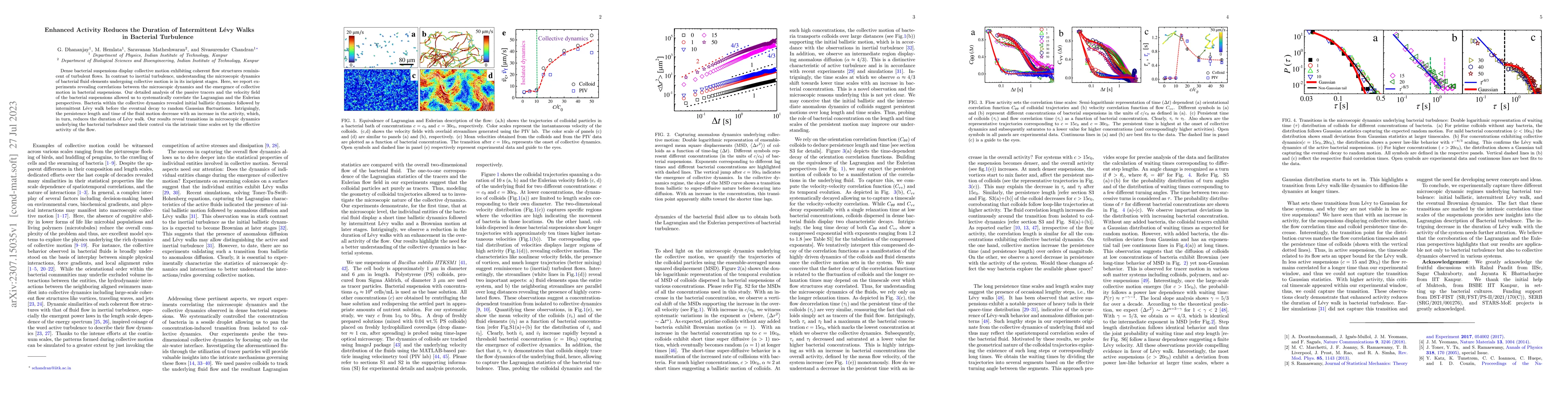 Thumbnail for Enhanced Activity Reduces the Duration of Intermittent L\'evy Walks in
  Bacterial Turbulence