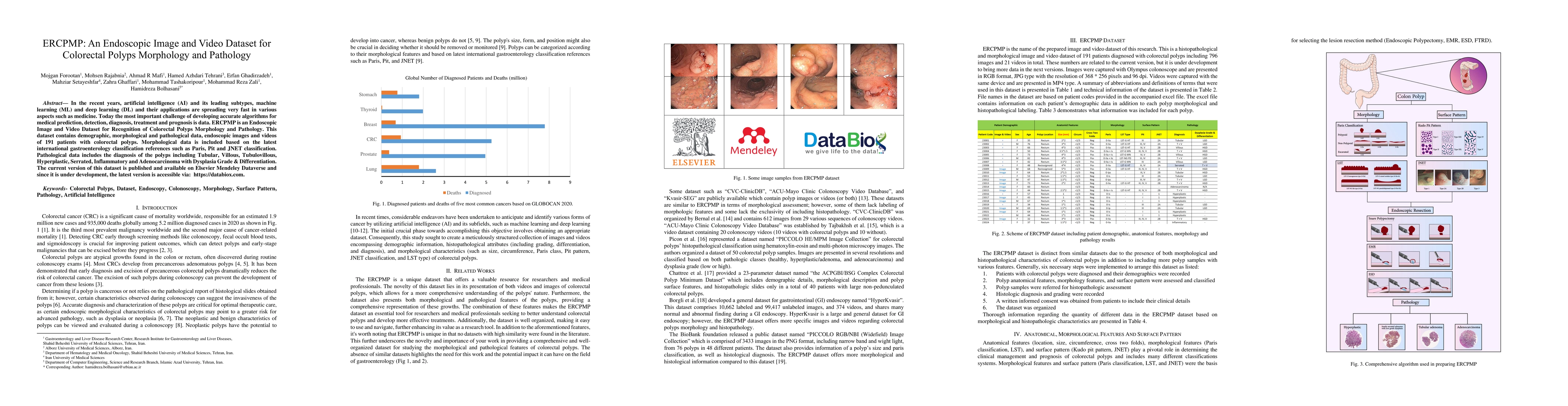 Thumbnail for ERCPMP: An Endoscopic Image and Video Dataset for Colorectal Polyps
  Morphology and Pathology