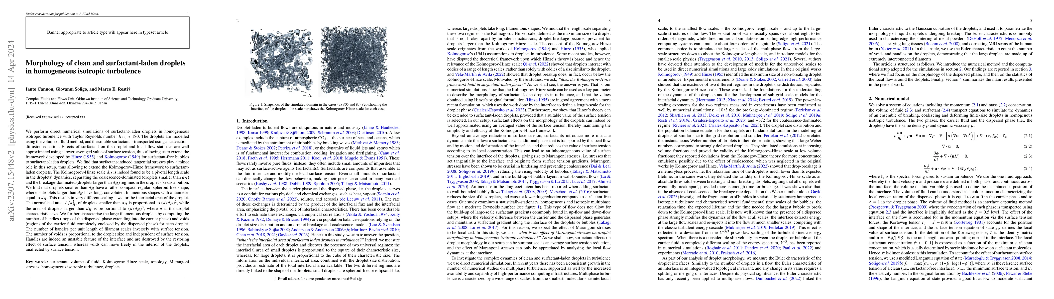 Thumbnail for Morphology of clean and surfactant-laden droplets in homogeneous
  isotropic turbulence