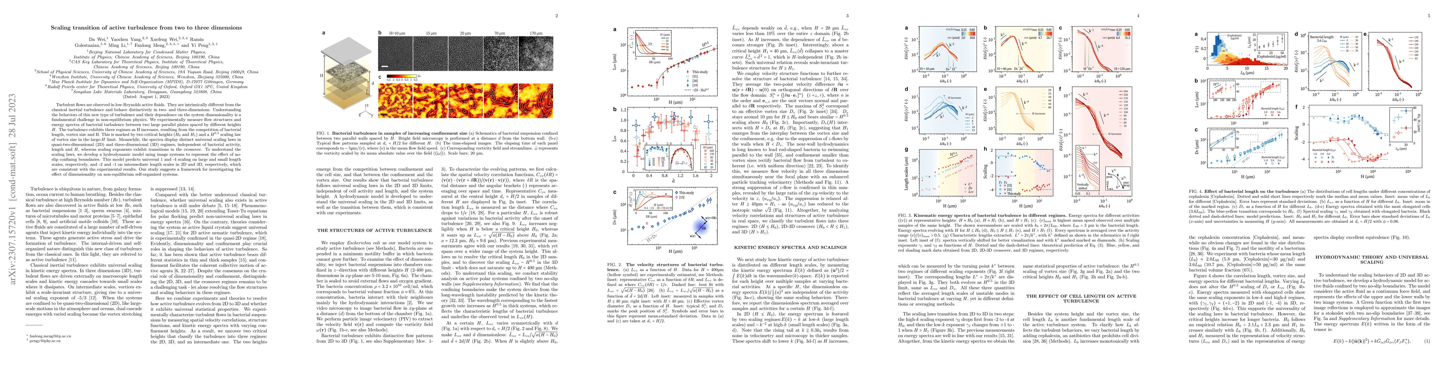 Thumbnail for Scaling transition of active turbulence from two to three dimensions