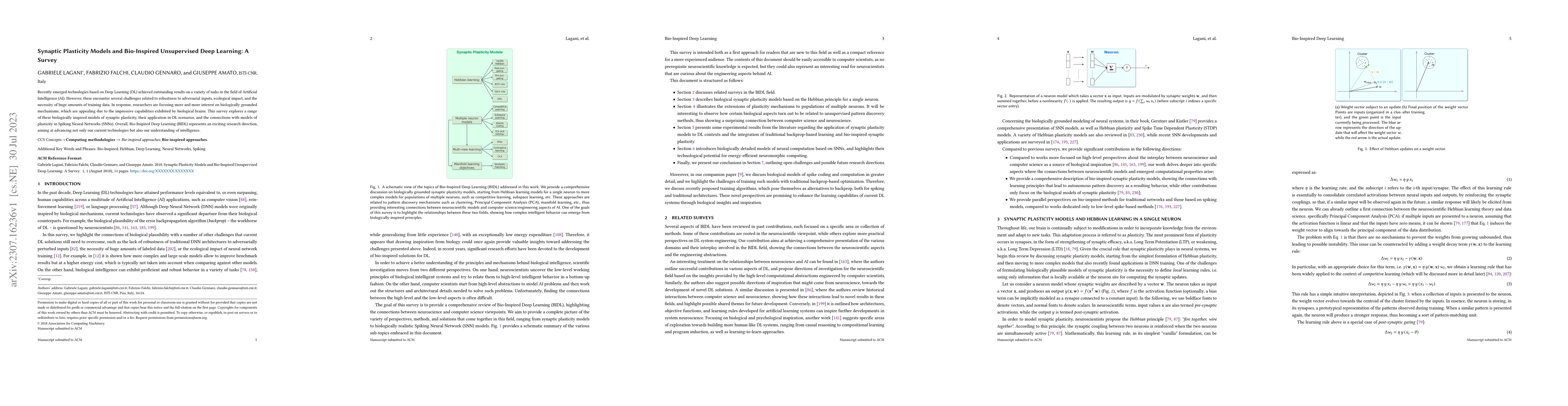 Thumbnail for Synaptic Plasticity Models and Bio-Inspired Unsupervised Deep Learning:
  A Survey