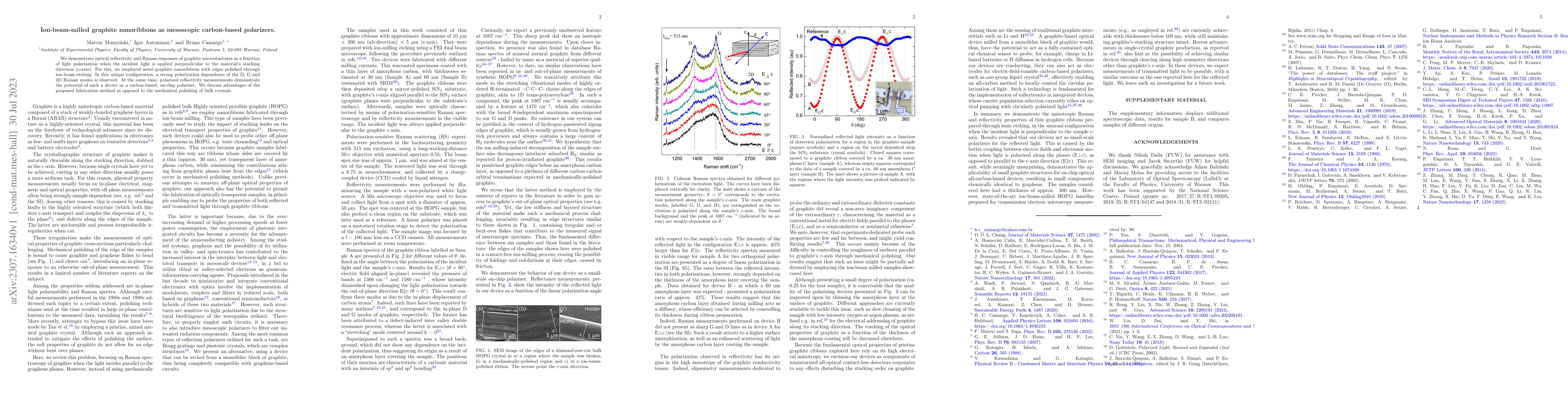 Thumbnail for Ion-beam-milled graphite nanoribbons as mesoscopic carbon-based
  polarizers