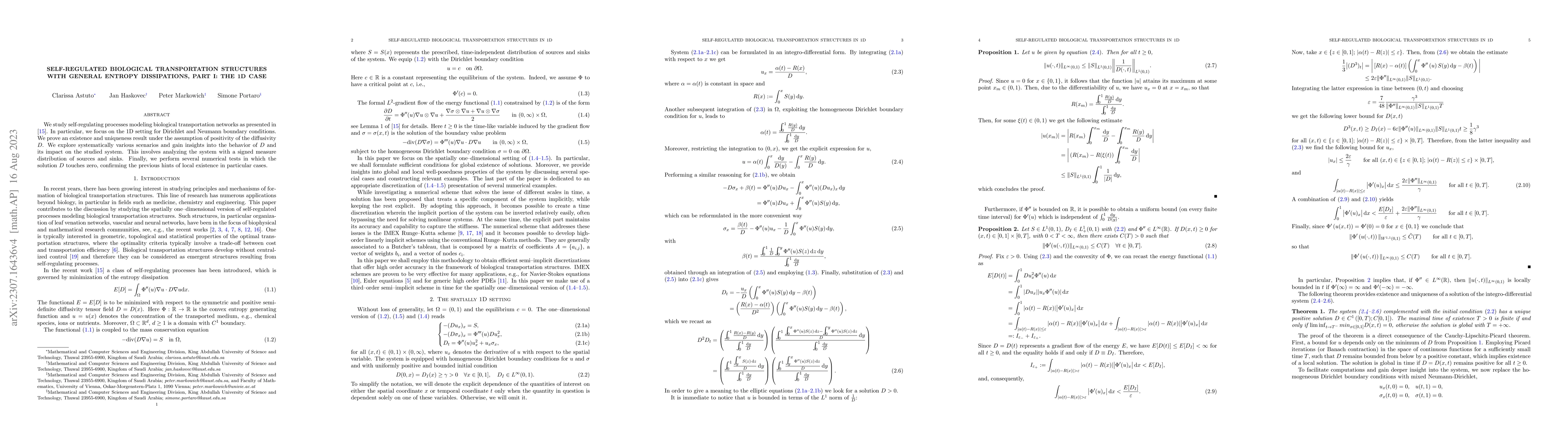 Thumbnail for Self-regulated biological transportation structures with general entropy
  dissipations, part I: the 1D case