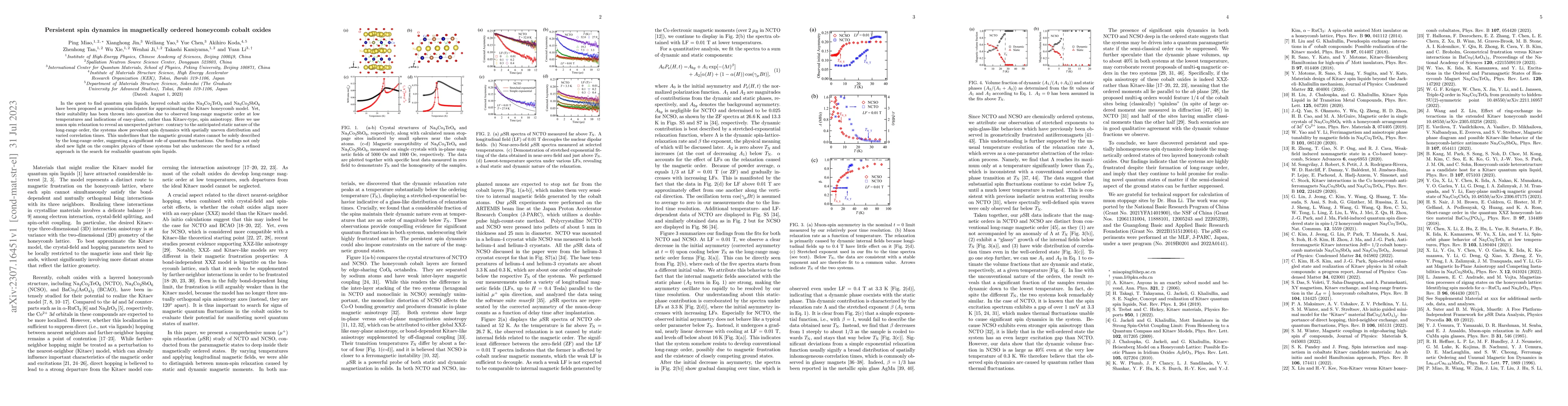 Thumbnail for Persistent spin dynamics in magnetically ordered honeycomb cobalt oxides