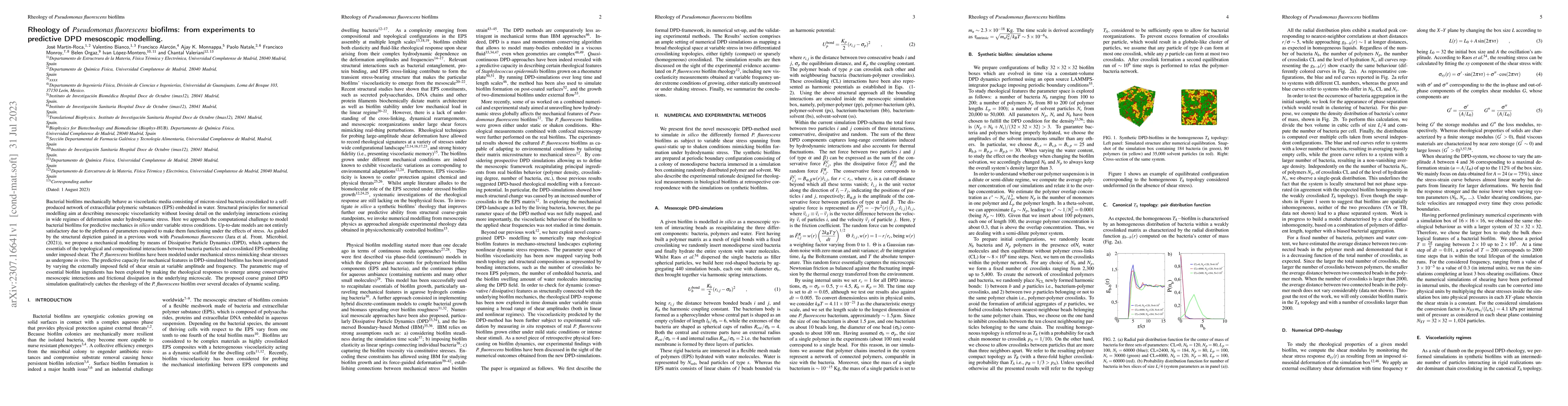 Thumbnail for Rheology of Pseudomonas fluorescens biofilms: from experiments to
  predictive DPD mesoscopic modelling
