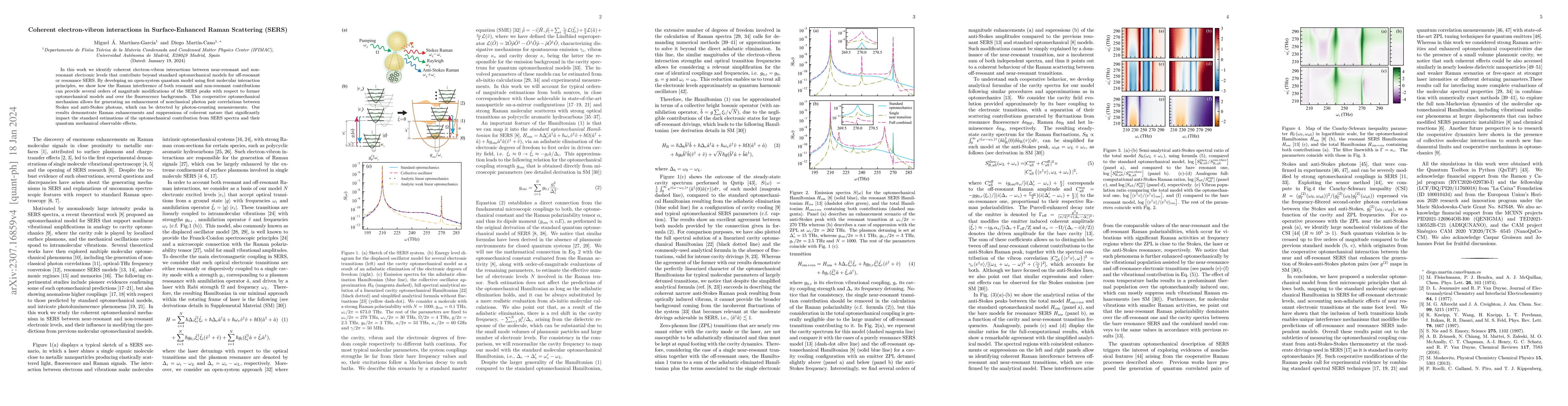 Thumbnail for Coherent electron-vibron interactions in Surface-Enhanced Raman
  Scattering (SERS)