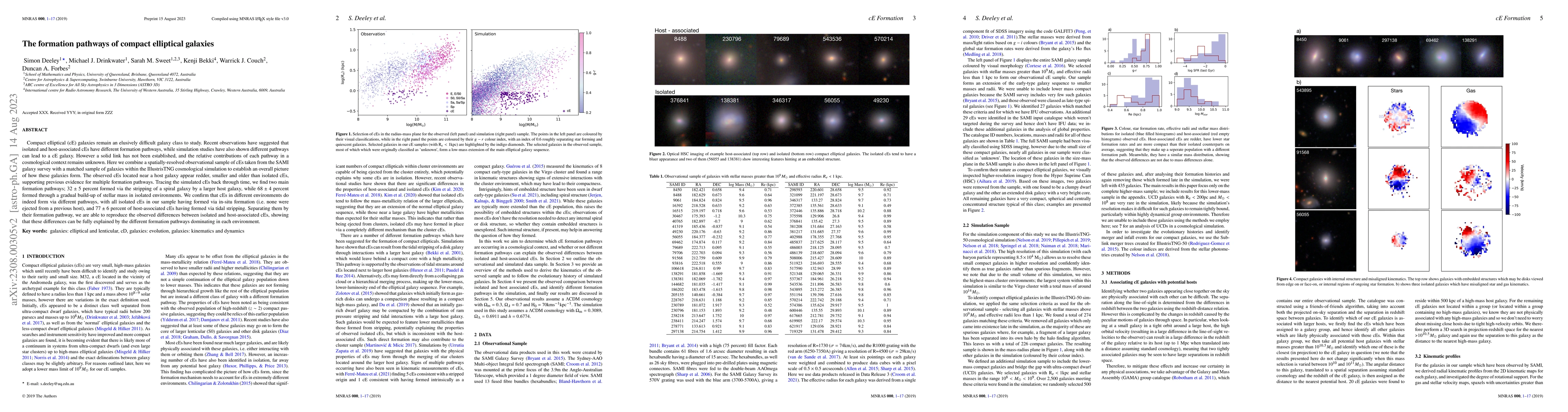 Thumbnail for The formation pathways of compact elliptical galaxies
