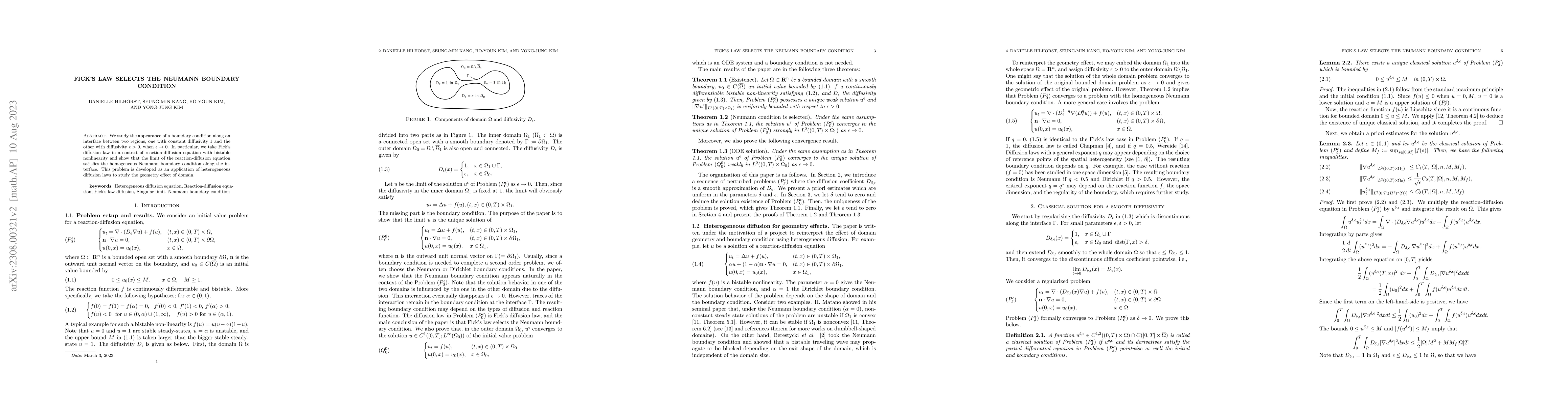 Thumbnail for Fick's las selects the Neumann boundary condition