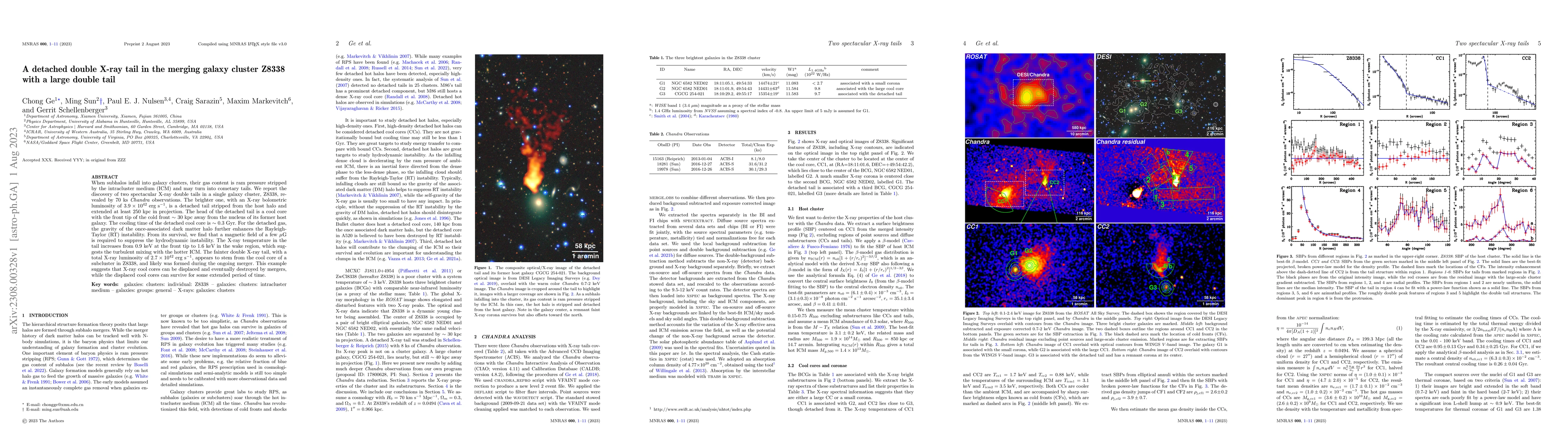 Thumbnail for A detached double X-ray tail in the merging galaxy cluster Z8338 with a
  large double tail