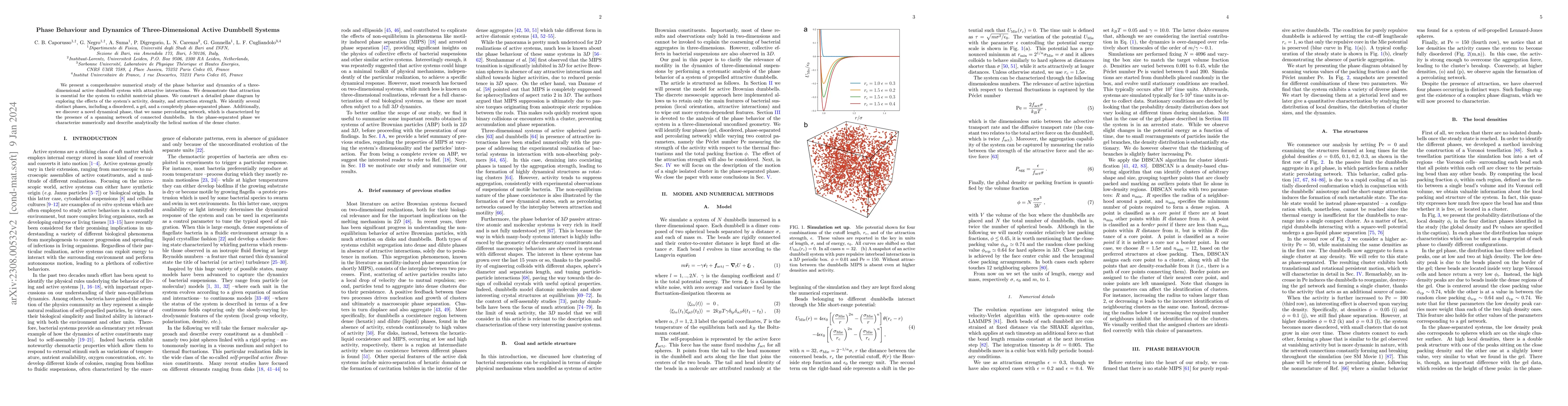 Thumbnail for Phase behaviour and dynamics of three-dimensional active dumbbell
  systems