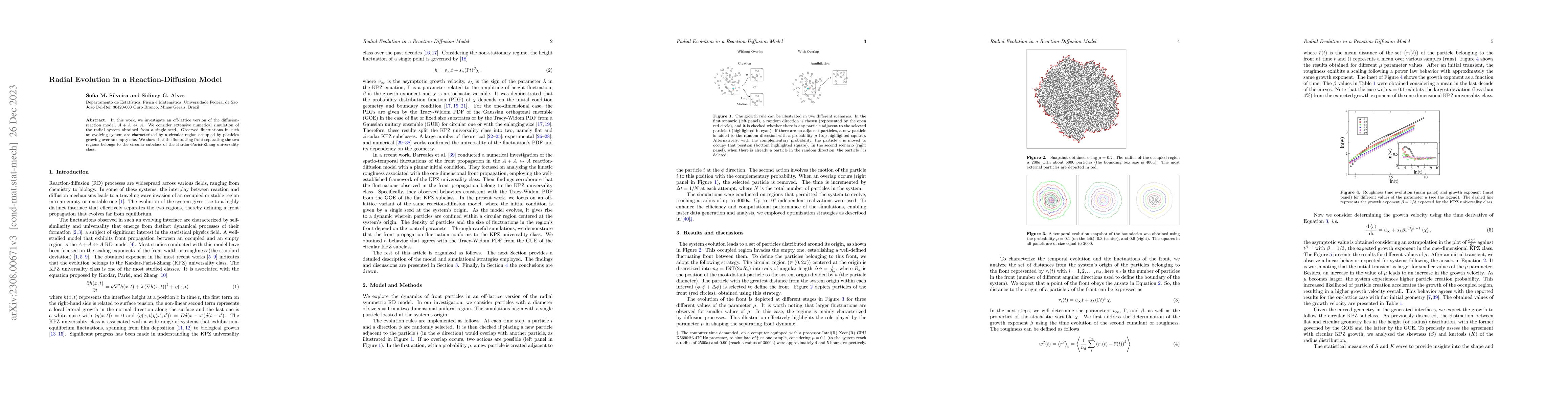 Thumbnail for Radial Evolution in a Reaction-Diffusion Model