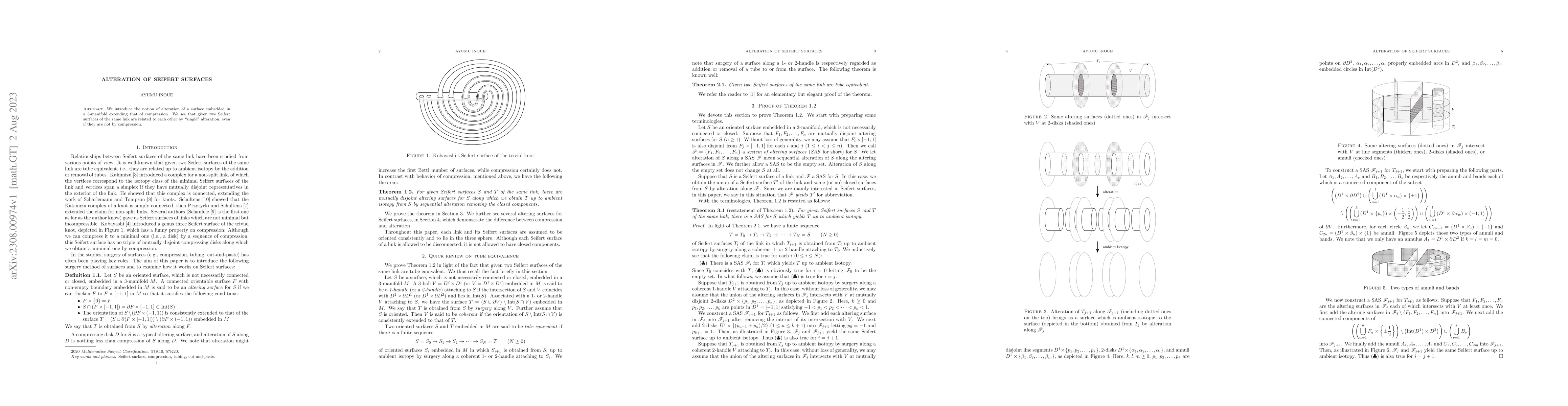 Thumbnail for Alteration of Seifert surfaces