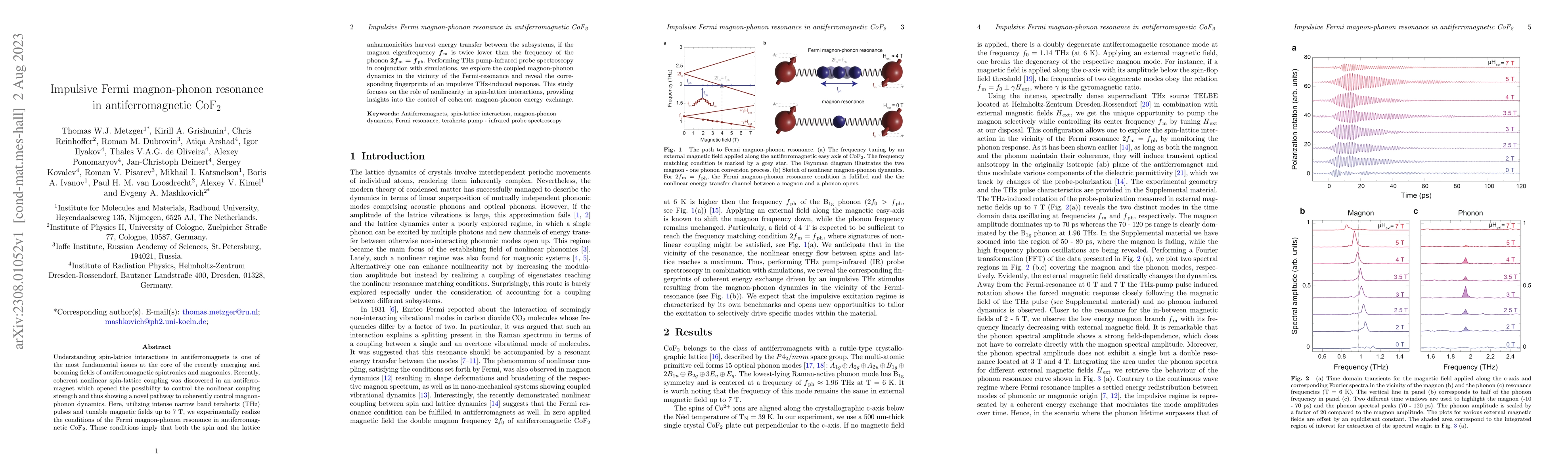 Thumbnail for Impulsive Fermi magnon-phonon resonance in antiferromagnetic $CoF_{2}$