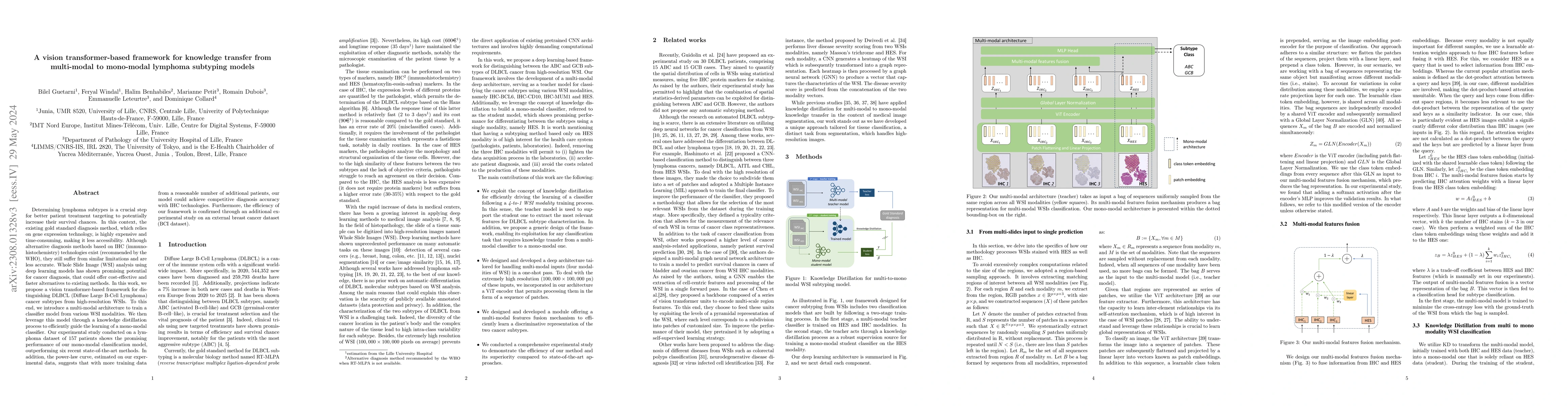 Thumbnail for A vision transformer-based framework for knowledge transfer from
  multi-modal to mono-modal lymphoma subtyping models
