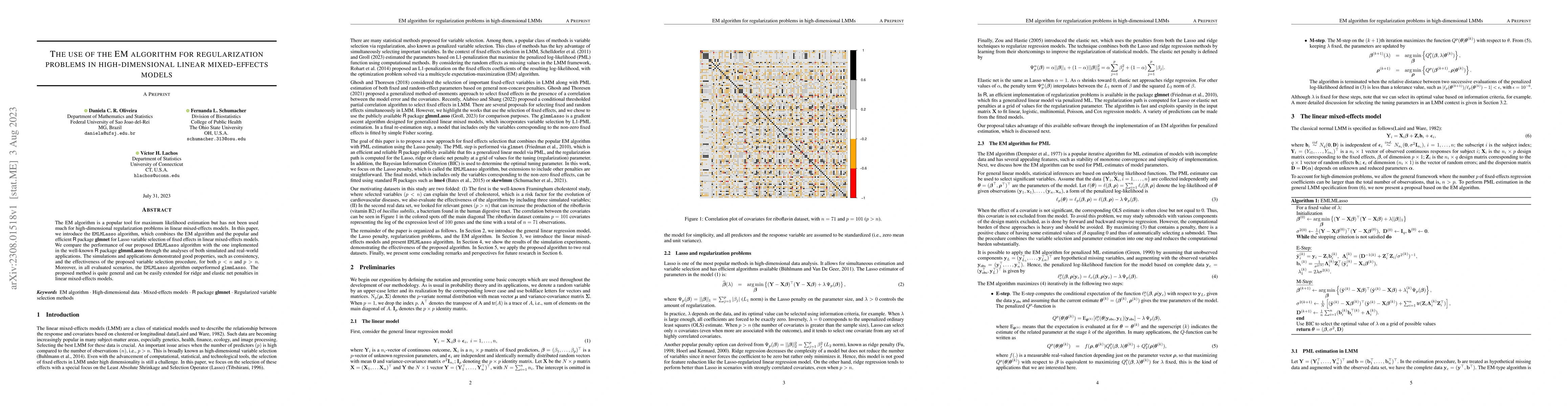 Thumbnail for The use of the EM algorithm for regularization problems in
  high-dimensional linear mixed-effects models