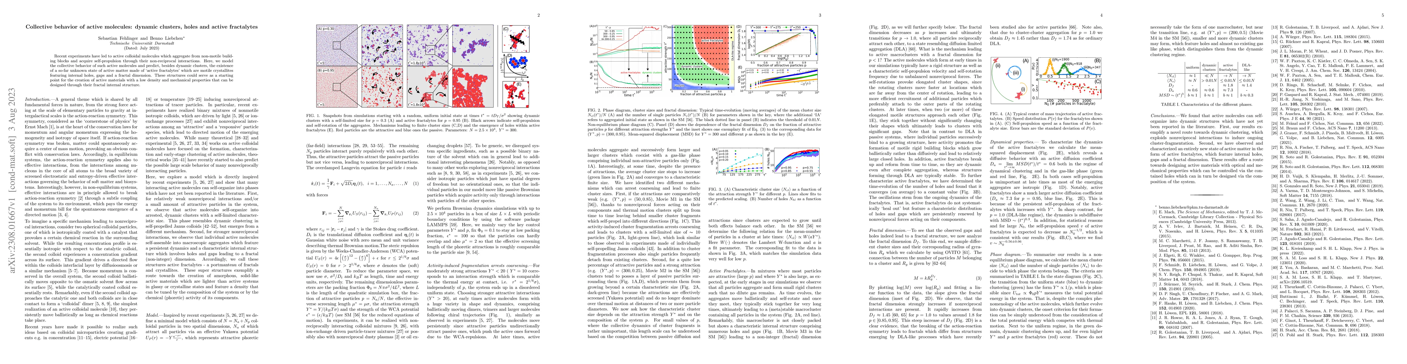 Thumbnail for Collective behavior of active molecules: dynamic clusters, holes and
  active fractalytes