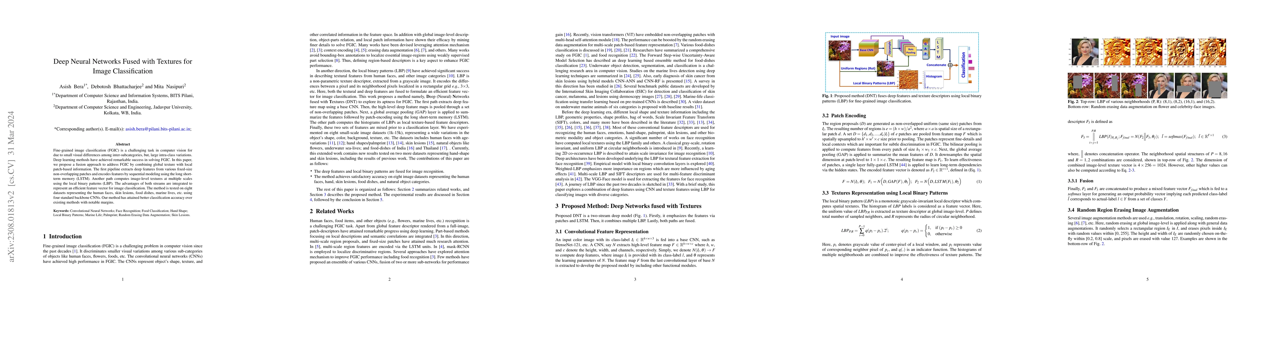 Thumbnail for Deep Neural Networks Fused with Textures for Image Classification