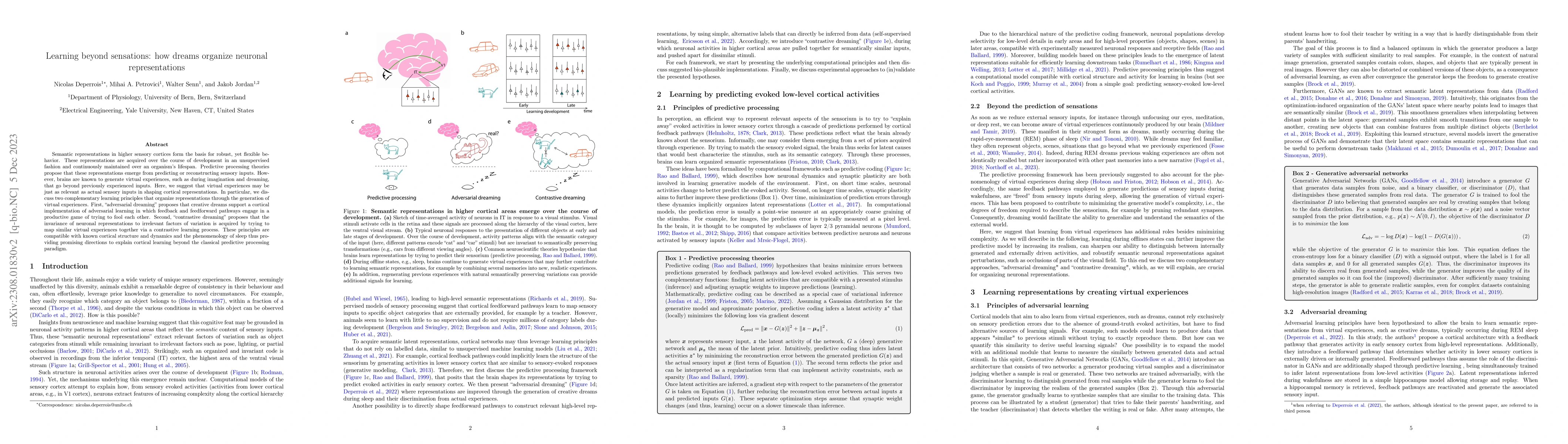 Thumbnail for Learning beyond sensations: how dreams organize neuronal representations