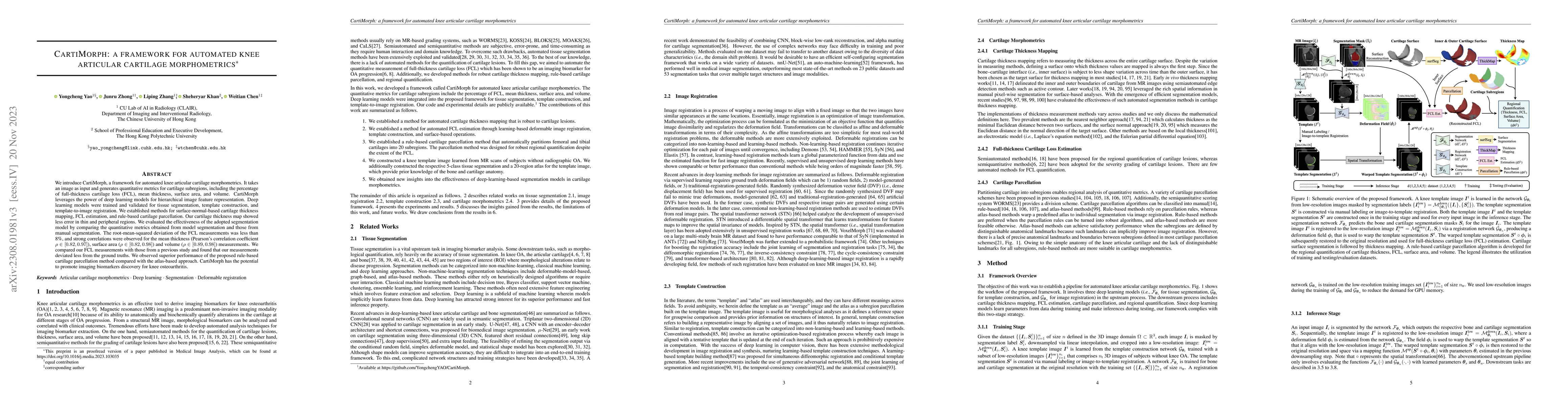 Thumbnail for CartiMorph: a framework for automated knee articular cartilage
  morphometrics