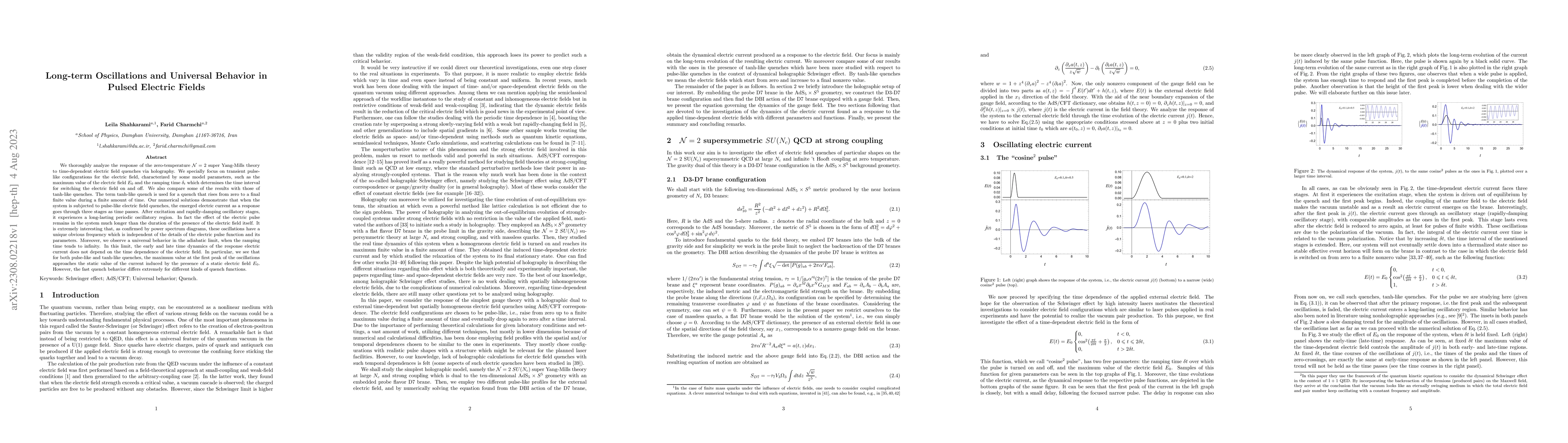 Thumbnail for Long-term Oscillations and Universal Behavior in Pulsed Electric Fields